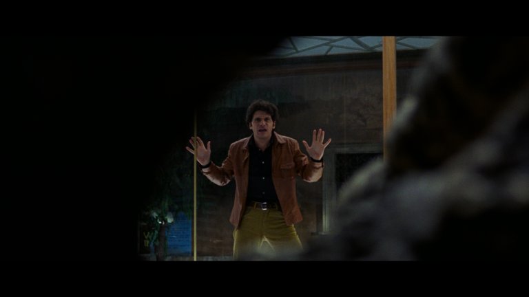 Screen capture from The Bird with the Crystal Plumage