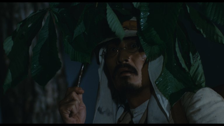 Screen capture from Demon Pond