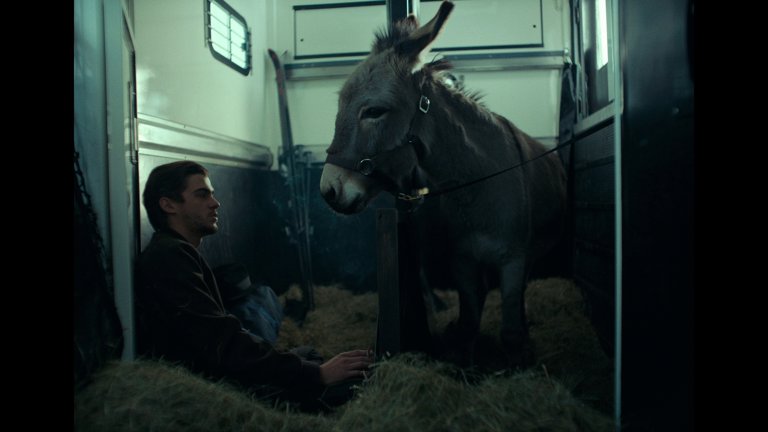 Screen capture from EO