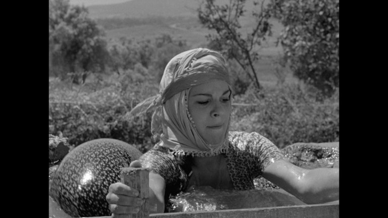Screen capture from A River Called Titas / Dry Summer
