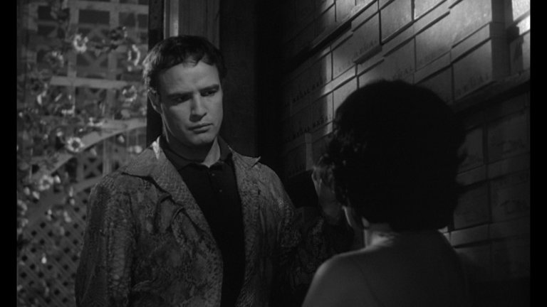 Screen capture from The Fugitive Kind