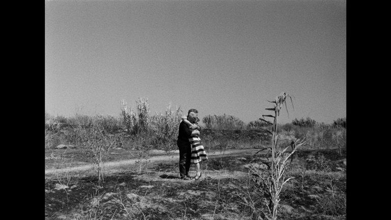 Screen capture from Essential Fellini