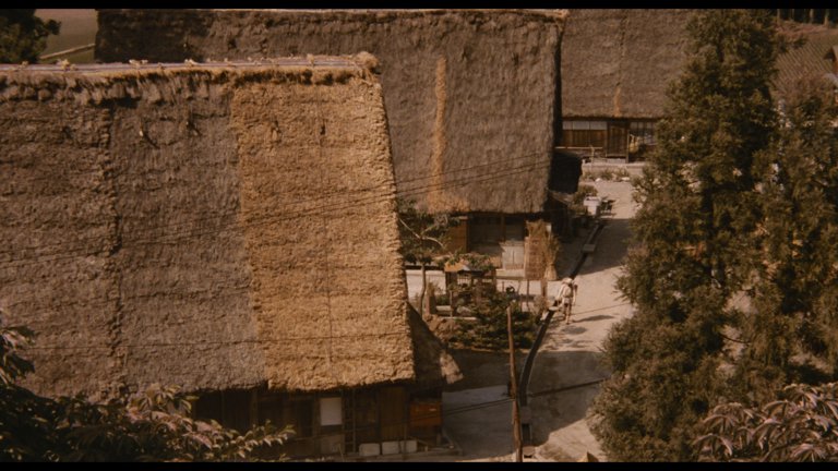 Screen capture from Demon Pond
