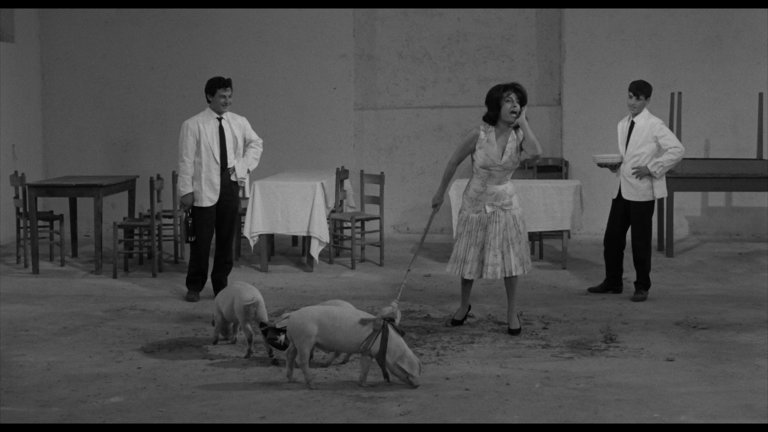 Screen capture from Pasolini 101