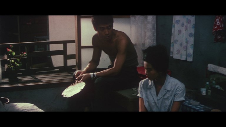 Screen capture from The Shape of Night