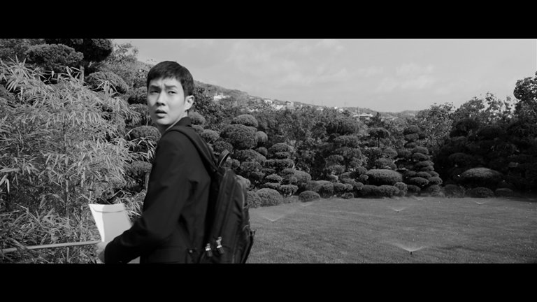 Screen capture from Parasite