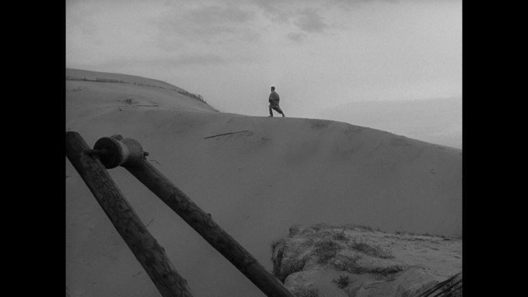 Screen capture from Woman in the Dunes