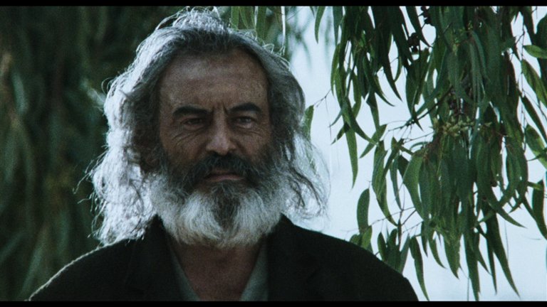 Screen capture from Amores perros