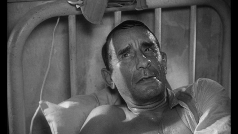 Screen capture from The Fugitive Kind