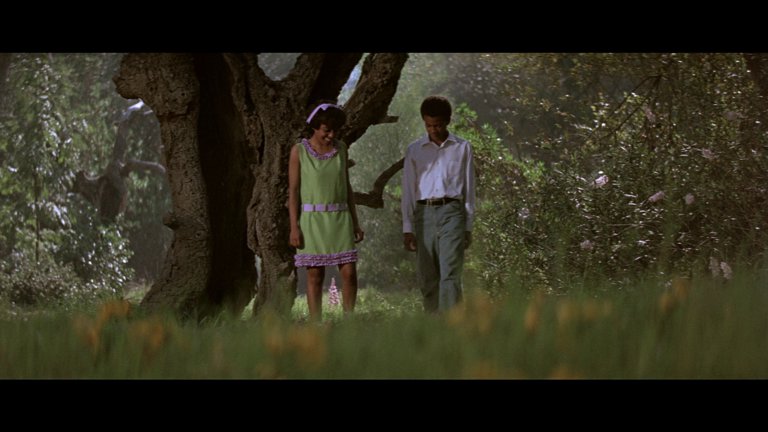 Screen capture from The Learning Tree