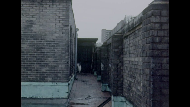 Screen capture from Chantal Akerman Masterpieces, 1968–1978