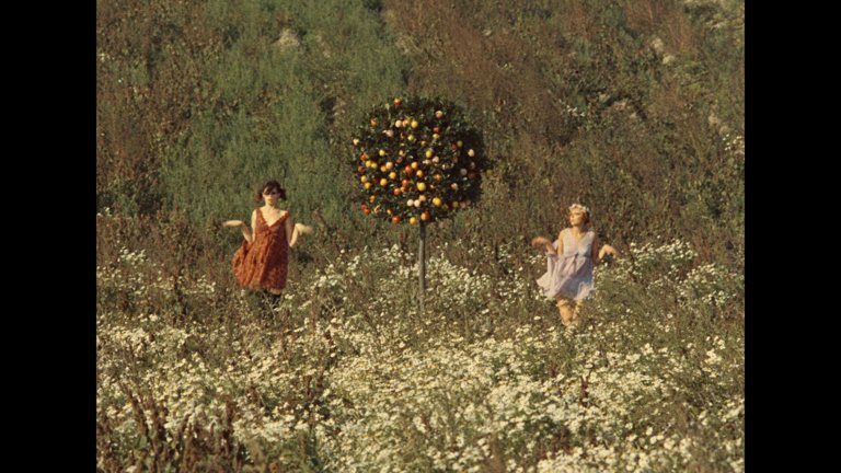 Screen capture from Daisies
