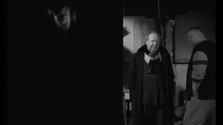 Screen capture from Werckmeister Harmonies