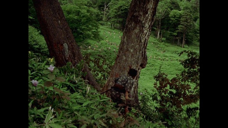 Screen capture from The Samurai Trilogy