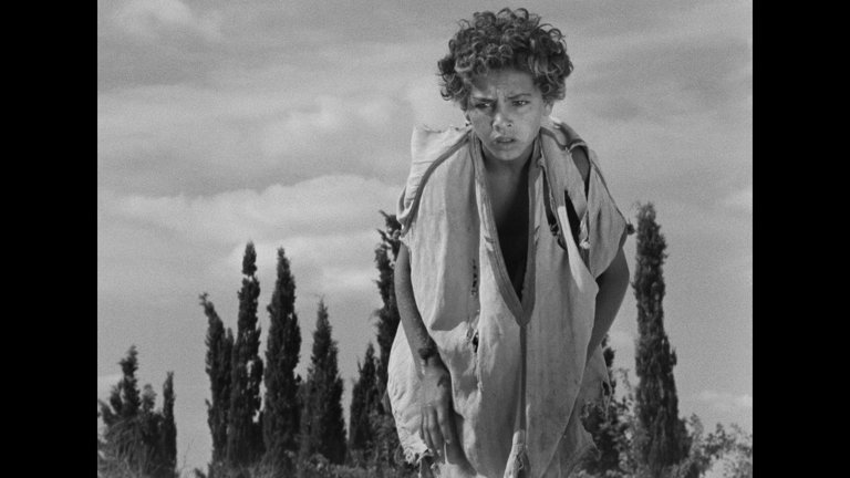 Screen capture from The Red Balloon and Other Stories: Five Films by Albert Lamorisse