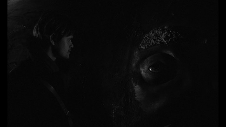 Screen capture from Werckmeister Harmonies