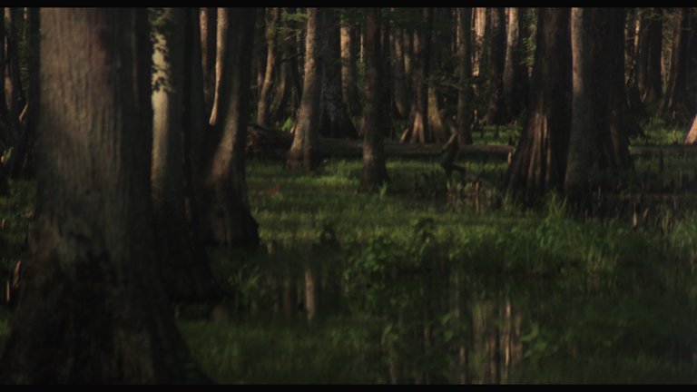Screen capture from Swamp Thing