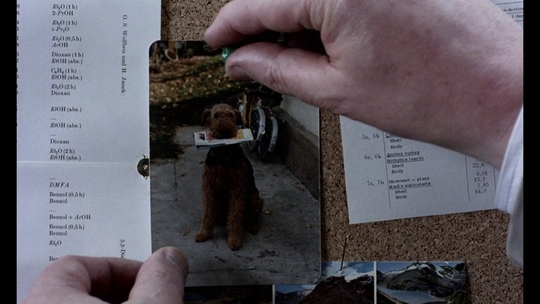 Screen capture from Michael Haneke: Trilogy