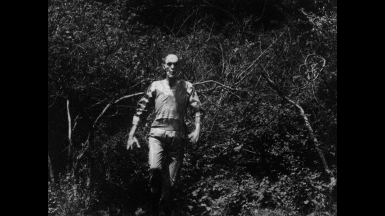 Screen capture from Weird Wisconsin: The Bill Rebane Collection