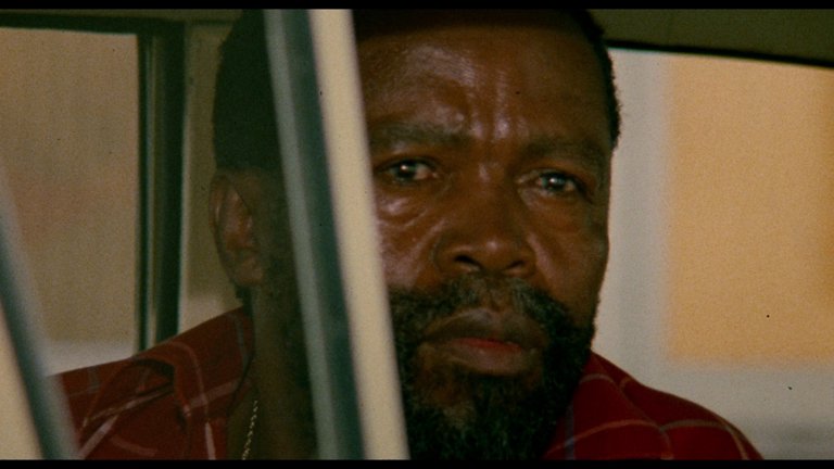 Screen capture from A Dry White Season