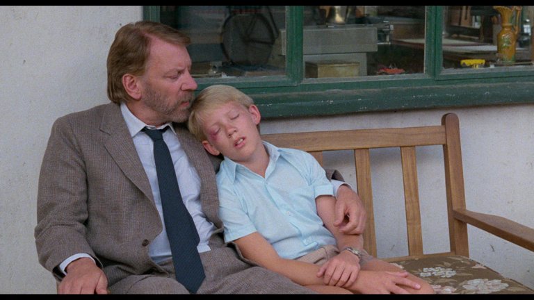 Screen capture from A Dry White Season