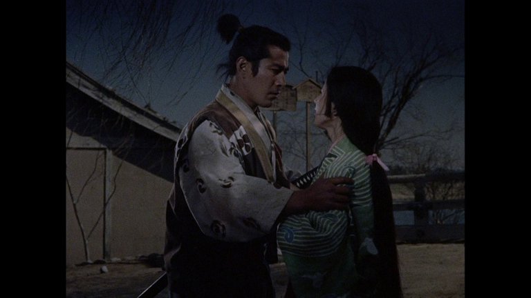 Screen capture from The Samurai Trilogy