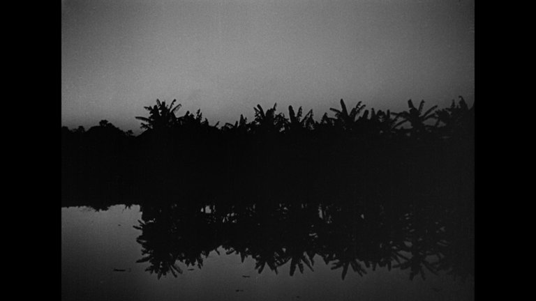 Screen capture from Pather Panchali
