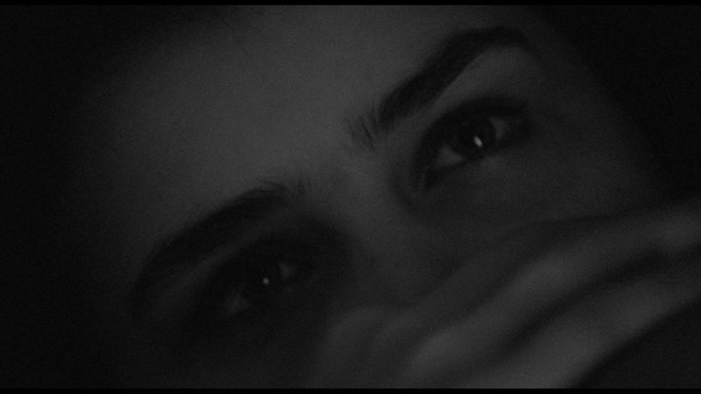 Screen capture from Adoption