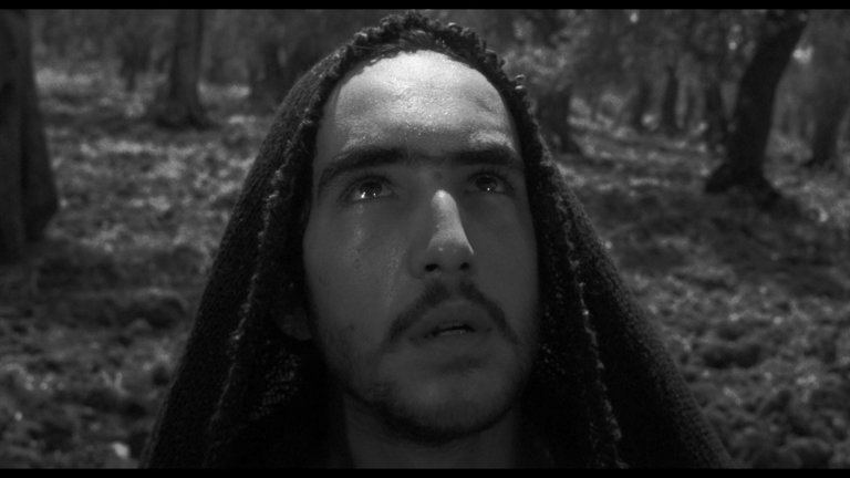Screen capture from Pasolini 101