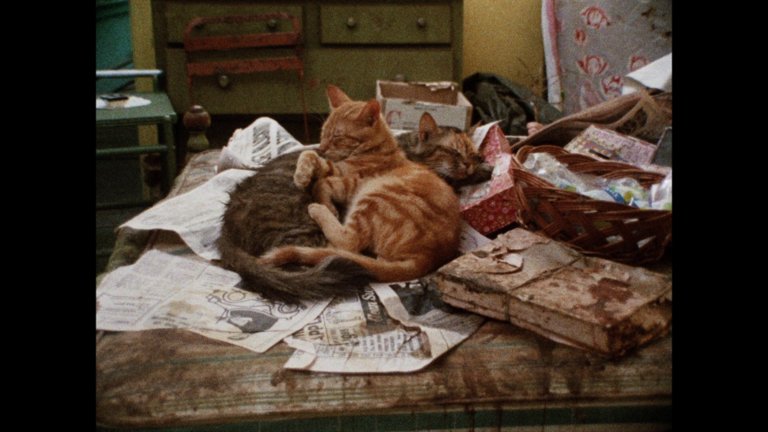 Screen capture from Grey Gardens