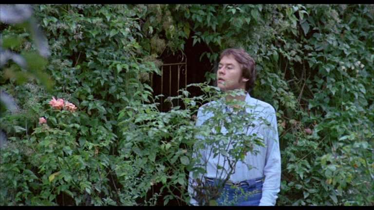 Screen capture from Adventures of a Private Eye