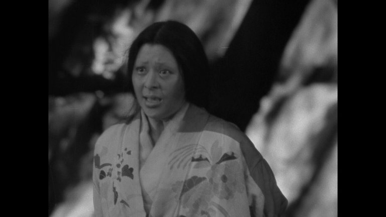 Screen capture from Seven Samurai