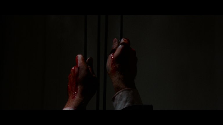 Screen capture from The Cat O’ Nine Tails