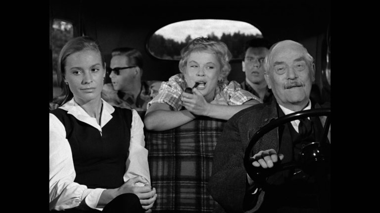 Screen capture from Wild Strawberries