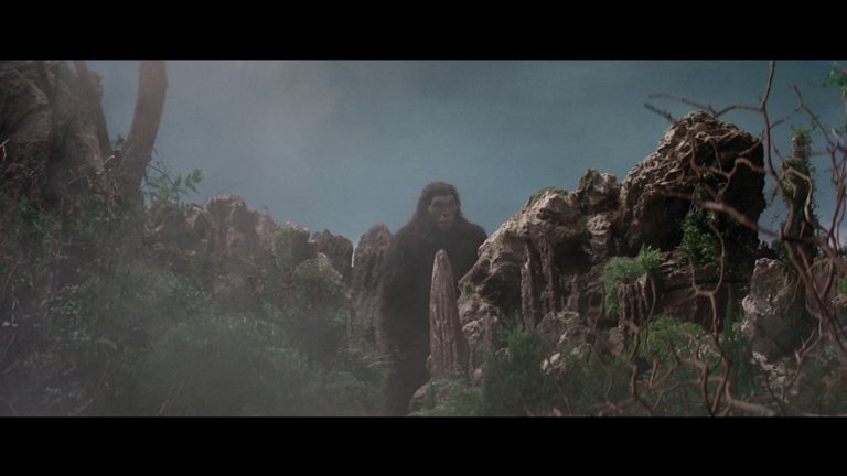 Screen capture from Shawscope: Volume One