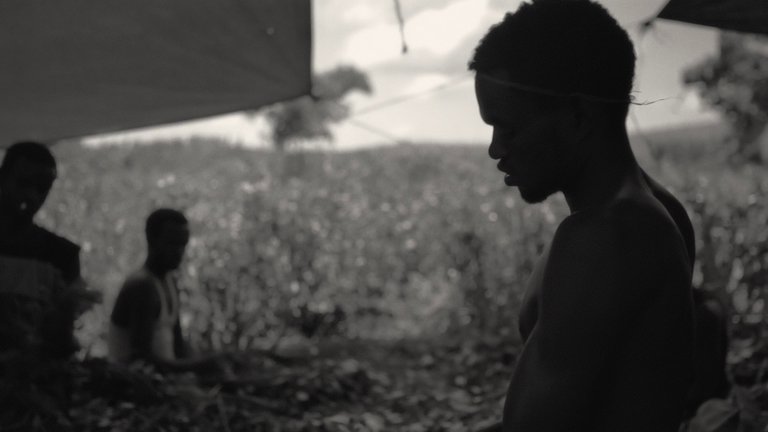 Screen capture from Faya dayi