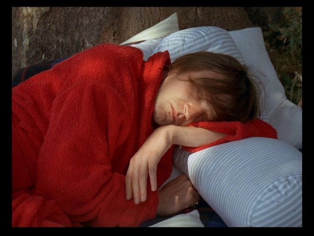 Screen capture from La collectionneuse