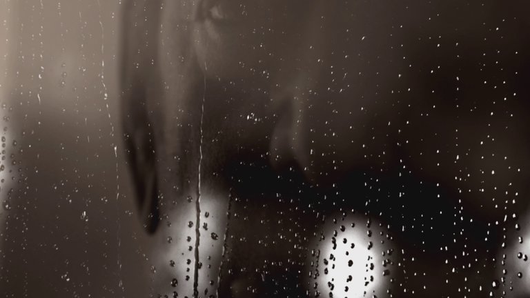 Screen capture from Heart of a Dog