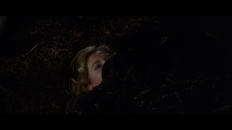 Screen capture from Carnal Knowledge