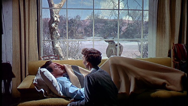 Screen capture from All That Heaven Allows
