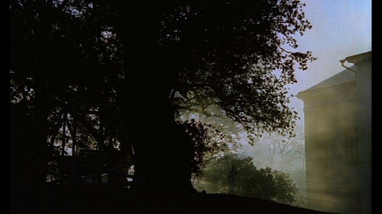 Screen capture from Cries & Whispers