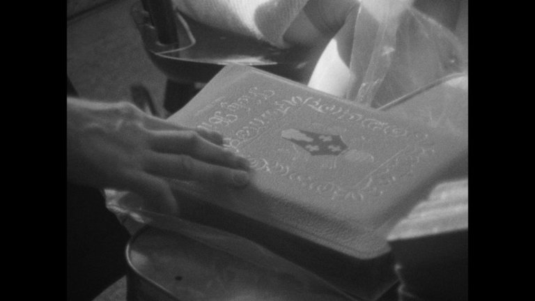 Screen capture from Salesman