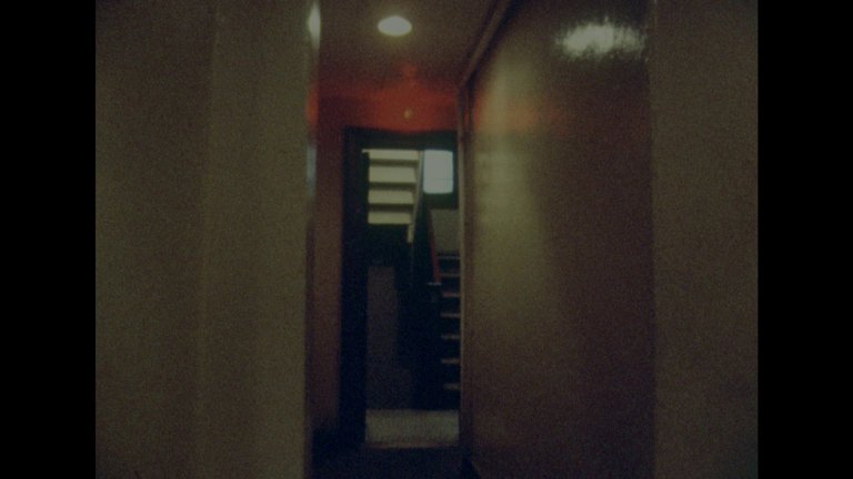 Screen capture from Chantal Akerman Masterpieces, 1968–1978