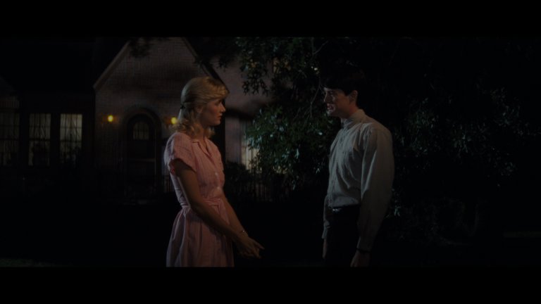 Screen capture from Blue Velvet