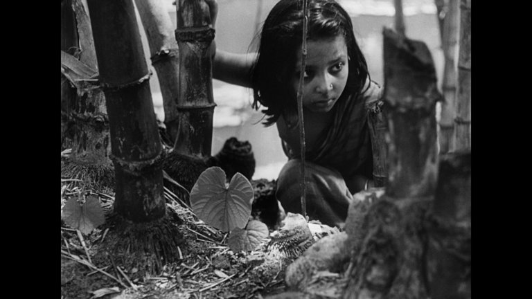 Screen capture from Pather Panchali
