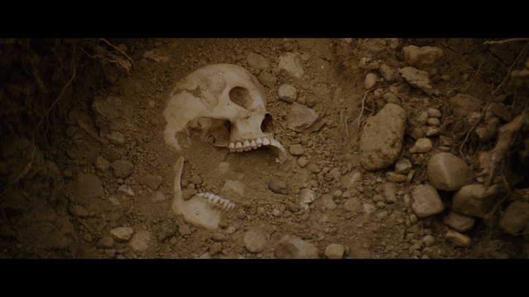 Screen capture from Lone Star