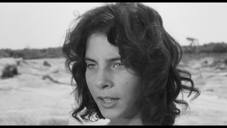 Screen capture from Pasolini 101