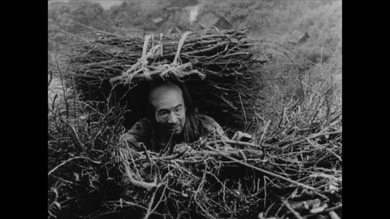 Screen capture from Seven Samurai