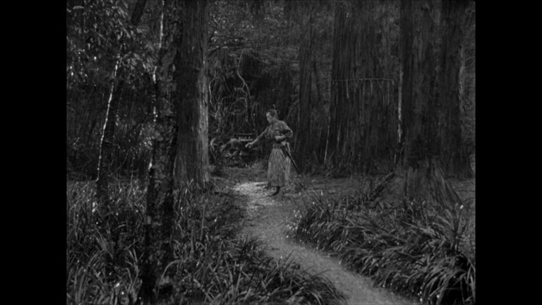 Screen capture from Seven Samurai