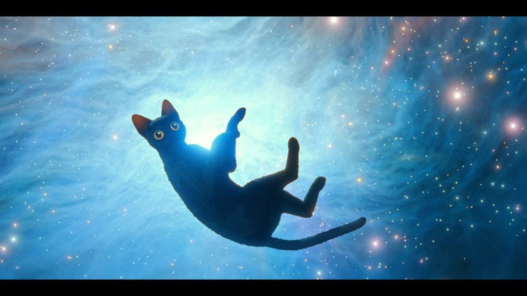 Screen capture from Flow
